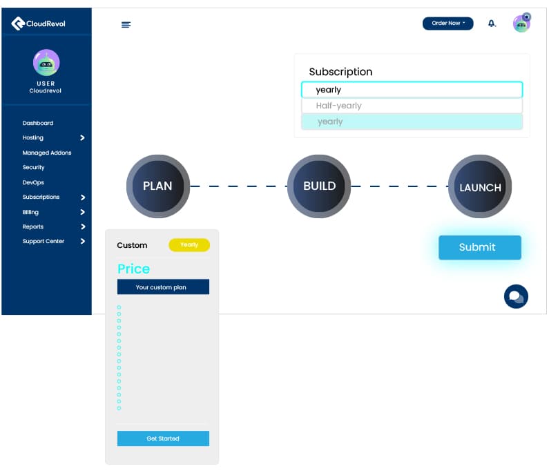 Custom Hosting CloudRevol