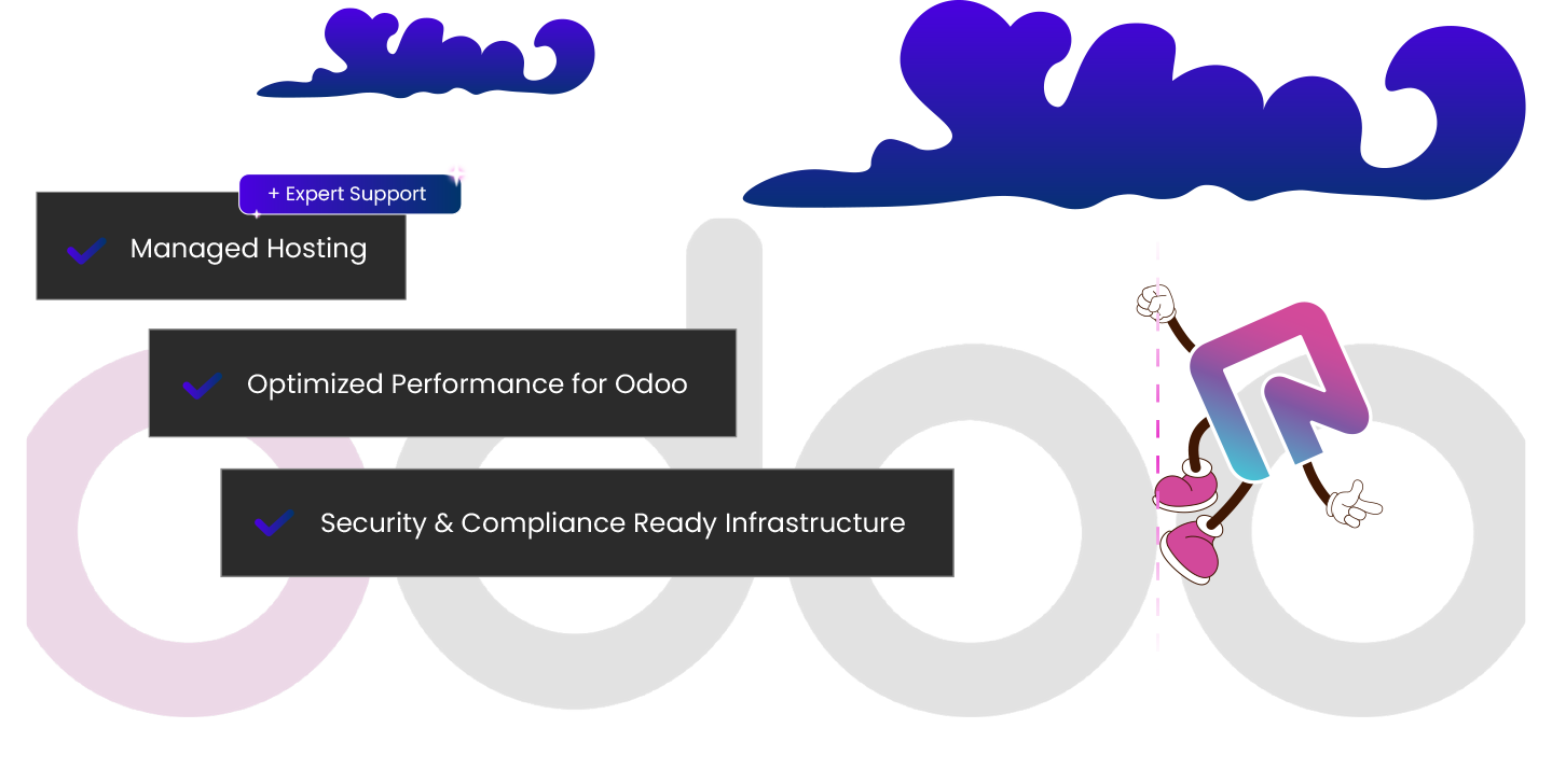 Odoo ERP Hosting Features
